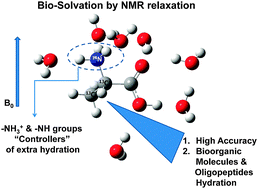 Graphical abstract: A “hidden” role of amino and imino groups is unveiled during the micro-solvation study of three biomolecule groups in water