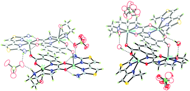 Graphical abstract: Syntheses and structures of tetracopper(ii) complexes with an N-benzoate-N′-[3-(2-hydroxylethylammino)propyl]oxamide ligand: reactivity towards DNA, cytotoxic and antimicrobial activities