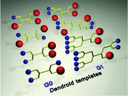 Graphical abstract: Regio-specific size, shape and surface chemistry designed dendrimers based on differentiated dendroid templates