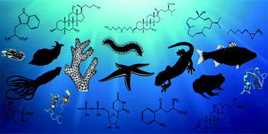 Graphical abstract: Pheromones, attractants and other chemical cues of aquatic organisms and amphibians