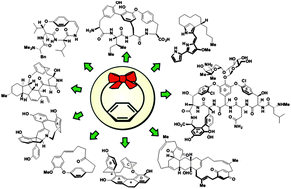 Graphical abstract: Strained cyclophane natural products: Macrocyclization at its limits