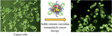 Graphical abstract: Microfluidic fabrication of cationic curcumin nanoparticles as an anti-cancer agent