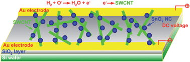 Graphical abstract: Ultrafast hydrogen sensing through hybrids of semiconducting single-walled carbon nanotubes and tin oxide nanocrystals