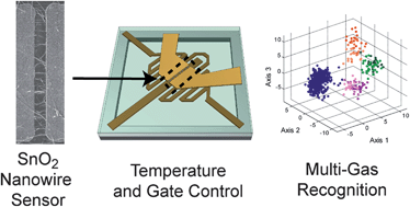 Graphical abstract: Tin oxide nanowire sensor with integrated temperature and gate control for multi-gas recognition