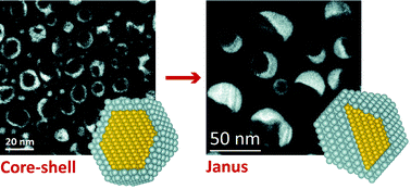 Graphical abstract: Transition from core–shell to Janus chemical configuration for bimetallic nanoparticles