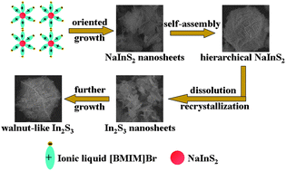 Graphical abstract: Walnut-like In2S3 microspheres: ionic liquid-assisted solvothermal synthesis, characterization and formation mechanism