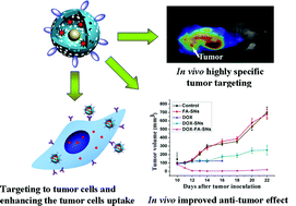 Graphical abstract: Doxorubicin loaded silica nanorattles actively seek tumors with improved anti-tumor effects
