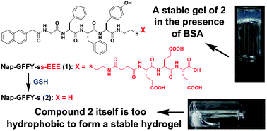 Graphical abstract: BSA-stabilized molecular hydrogels of a hydrophobic compound