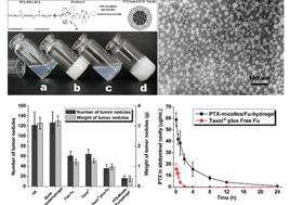 Graphical abstract: Efficient inhibition of colorectal peritoneal carcinomatosis by drug loaded micelles in thermosensitive hydrogel composites