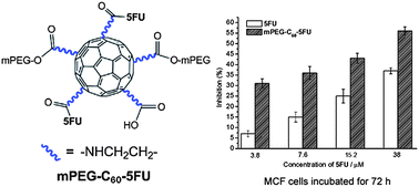 Graphical abstract: Synthesis of PEGylated fullerene–5-fluorouracil conjugates to enhance the antitumor effect of 5-fluorouracil