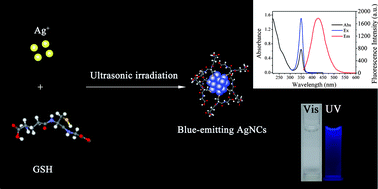 Graphical abstract: Sonochemical synthesis of highly fluorescent glutathione-stabilized Ag nanoclusters and S2− sensing
