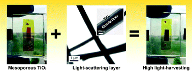Graphical abstract: Stable anatase TiO2 coating on quartz fibers by atomic layer deposition for photoactive light-scattering in dye-sensitized solar cells