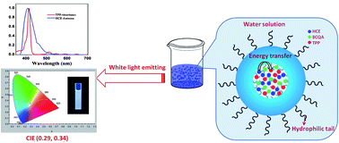 Graphical abstract: Silica cross-linked nanoparticles encapsulating fluorescent conjugated dyes for energy transfer-based white light emission and porphyrin sensing