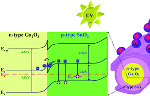 Graphical abstract: Fabrication of a transparent ultraviolet detector by using n-type Ga2O3 and p-type Ga-doped SnO2 core–shell nanowires