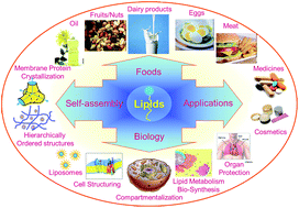 Graphical abstract: Lipid crystallization: from self-assembly to hierarchical and biological ordering