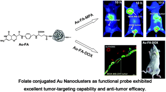Graphical abstract: Folate-modified gold nanoclusters as near-infrared fluorescent probes for tumor imaging and therapy