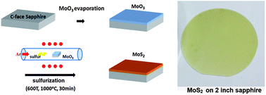 Graphical abstract: Wafer-scale MoS2 thin layers prepared by MoO3 sulfurization