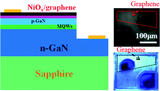 Graphical abstract: Enhanced light emission of GaN-based diodes with a NiOx/graphene hybrid electrode