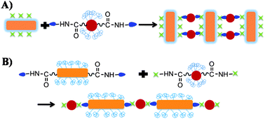Graphical abstract: Rational design of oriented assembly of gold nanospheres with nanorods by biotin–streptavidin connectors