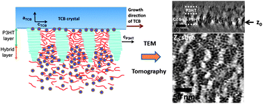 Graphical abstract: Mapping the 3D distribution of CdSe nanocrystals in highly oriented and nanostructured hybrid P3HT–CdSe films grown by directional epitaxial crystallization