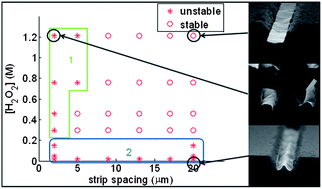 Graphical abstract: Vertical etching with isolated catalysts in metal-assisted chemical etching of silicon