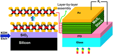 Graphical abstract: Layered semiconductor molybdenum disulfide nanomembrane based Schottky-barrier solar cells