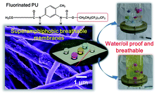 Graphical abstract: Synthesis of superamphiphobic breathable membranes utilizing SiO2 nanoparticles decorated fluorinated polyurethane nanofibers