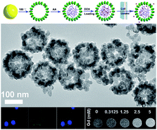 Graphical abstract: Poly(acrylic acid) modified lanthanide-doped GdVO4 hollow spheres for up-conversion cell imaging, MRI and pH-dependent drug release
