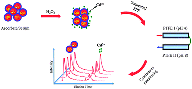 Graphical abstract: Chemically differentiating ascorbate-mediated dissolution of quantum dots in cell culture media