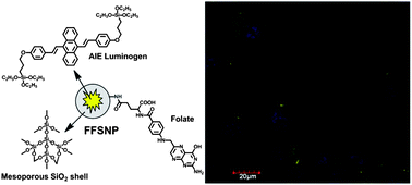 Graphical abstract: Folic acid-functionalized mesoporous silica nanospheres hybridized with AIE luminogens for targeted cancer cell imaging