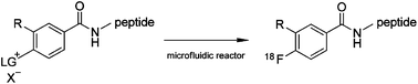 Graphical abstract: Single-step radiofluorination of peptides using continuous flow microreactor
