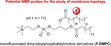 Graphical abstract: Synthesis and properties of monofluorinated dimyristoylphosphatidylcholine derivatives: Potential fluorinated probes for the study of membrane topology