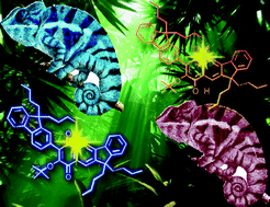 Graphical abstract: Colour-responsive fluorescent oxy radical sensors