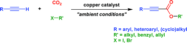 Graphical abstract: A copper-based catalytic system for carboxylation of terminal alkynes: synthesis of alkyl 2-alkynoates