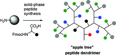 Graphical abstract: Peptide and glycopeptide dendrimer apple trees as enzyme models and for biomedical applications
