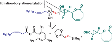 Graphical abstract: Stereocontrolled asymmetric synthesis of syn-E-1,4-diol-2-enes using allyl boronates and its application in the total synthesis of solandelactone F