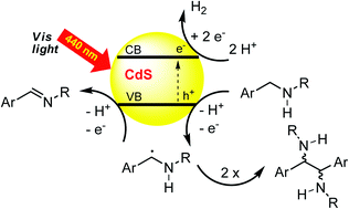 Graphical abstract: Visible light mediated homo- and heterocoupling of benzyl alcohols and benzyl amines on polycrystalline cadmium sulfide