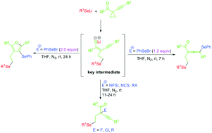 Graphical abstract: Chemoselective synthesis of highly substituted 1,2-allenyl ketones, furans, and 2-alkynyl ketones from reaction of lithium selenolates with 1-(1-alkynyl)cyclopropyl ketones and electrophiles