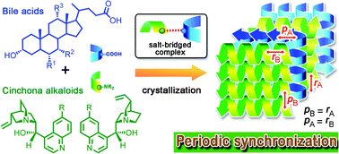 Graphical abstract: Construction of multi-component supramolecular architectures of bile acids and cinchona alkaloids through helical-pitch-synchronized crystallization