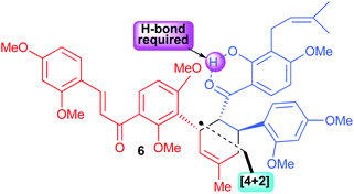 Graphical abstract: Synthetic studies towards the mulberry Diels–Alder adducts: H-bond accelerated cycloadditions of chalcones