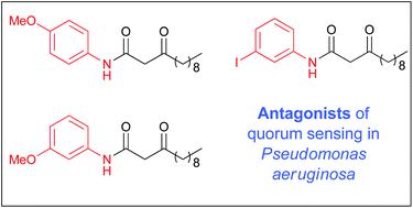 Graphical abstract: Design, synthesis and biological evaluation of non-natural modulators of quorum sensing in Pseudomonas aeruginosa