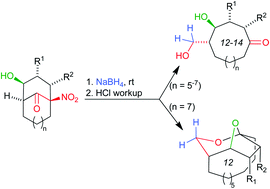 Graphical abstract: A one-pot sequence for the efficient synthesis of highly functionalized macrocarbocycles or bridged 2,8-dioxabicyclo[3.2.1]octanes from 1-nitrobicyclic compounds