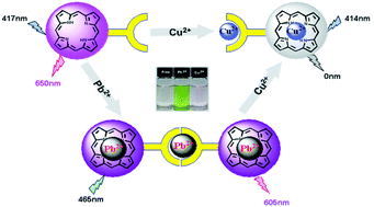 Graphical abstract: Porphyrin-based multi-signal chemosensors for Pb2+ and Cu2+