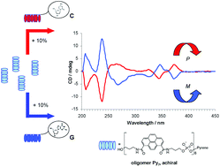 Graphical abstract: Supramolecular polymerization of oligopyrenotides – stereochemical control by single, natural nucleotides