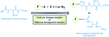 Graphical abstract: New insights into the water-solubilisation of fluorophores by post-synthetic “click” and Sonogashira reactions
