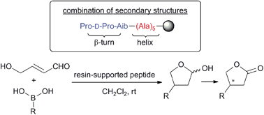 Graphical abstract: Asymmetric Michael addition of boronic acids to a γ-hydroxy-α,β-unsaturated aldehyde catalyzed by resin-supported peptide