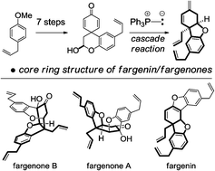 Graphical abstract: A strategy for the synthesis of the fargenone/fargenin family of natural products: synthesis of the tricyclic core