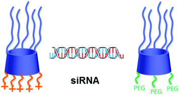 Graphical abstract: A click chemistry route to 2-functionalised PEGylated and cationic β-cyclodextrins: co-formulation opportunities for siRNA delivery