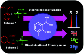 Graphical abstract: Simple and efficient methods for discrimination of chiral diacids and chiral alpha-methyl amines