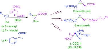 Graphical abstract: Enantio- and diastereocontrolled conversion of chiral epoxides to trans-cyclopropane carboxylates: application to the synthesis of cascarillic acid, grenadamide and l-(−)-CCG-II